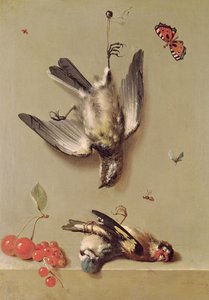 Still Life of Dead Birds and Cherries